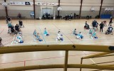 Rugby Fauteuil