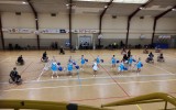 Rugby Fauteuil
