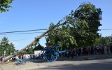 Les Marins de Moissac - Fête de pentecôte - Plantation du Mai