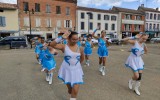 association le rosier blanc-maladie orpheline 