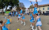 association le rosier blanc-maladie orpheline 
