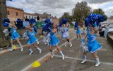 association le rosier blanc-maladie orpheline 