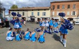 association le rosier blanc-maladie orpheline 