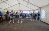 Groupe des grandes pompons 