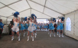 Groupe des grandes pompons 