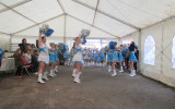 Groupe des grandes pompons 
