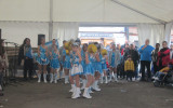 Groupe des moyennes chapeaux dorés